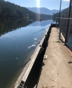 Bigfork Intake Looking Upstream